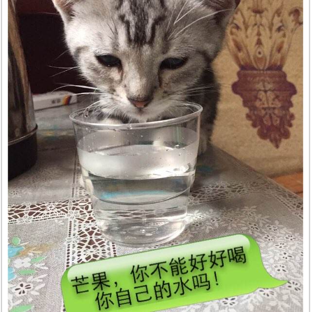 做假的出院小结